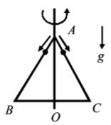 Rotational Motion mcq question image
